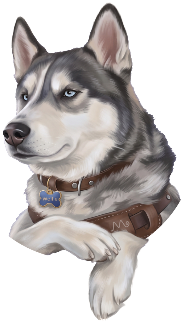 Wolfie the husky leaning out of a round window with his paws hanging over the edge
