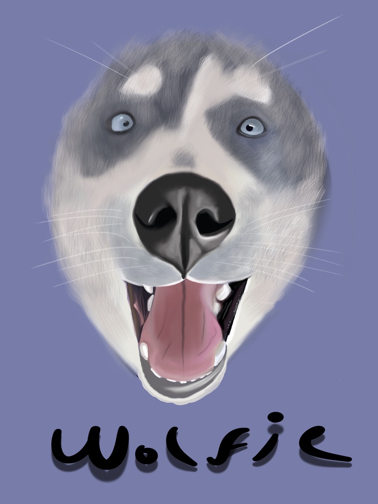 Wolfie portrait illustration